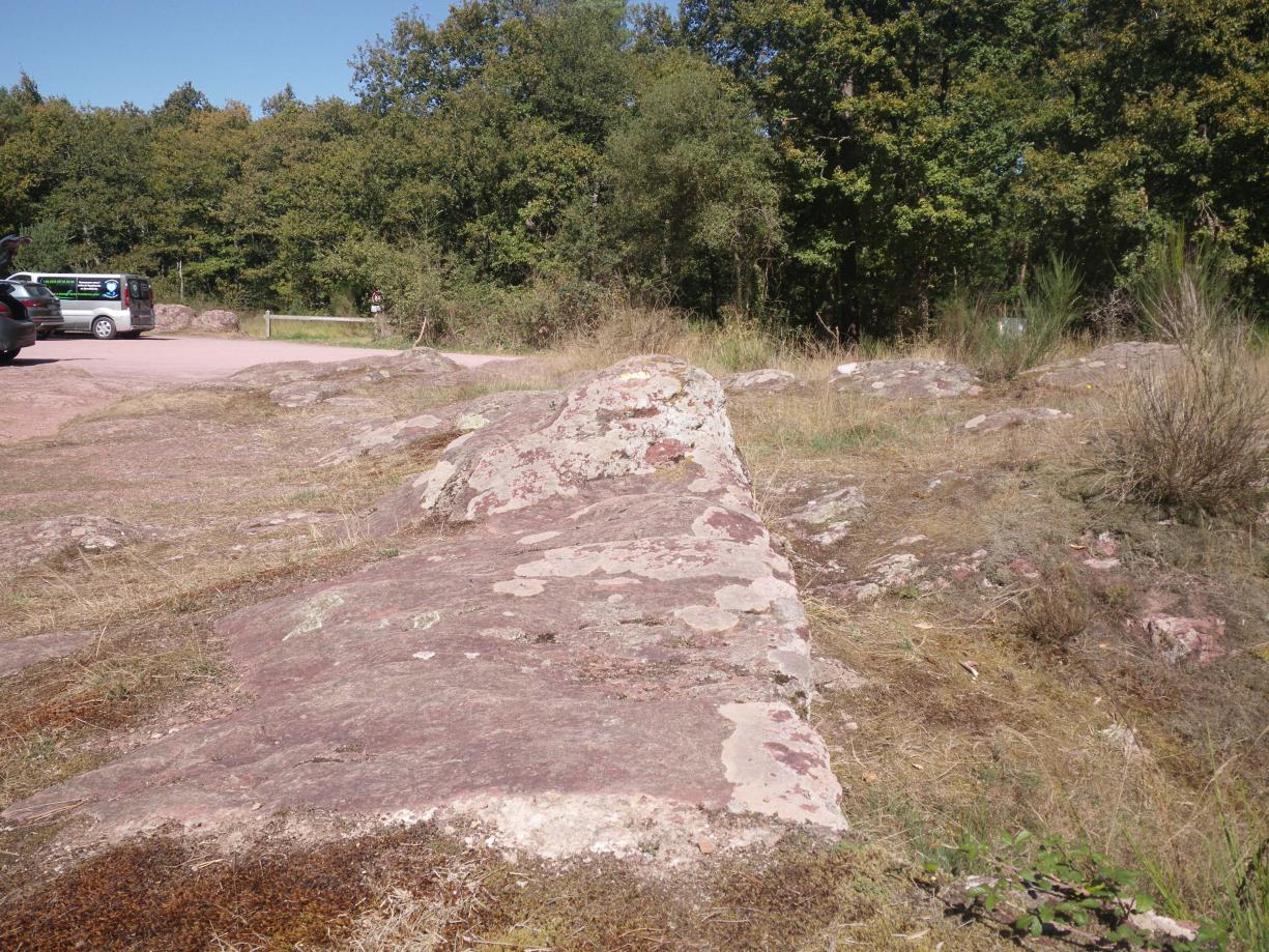 Affleurement de schistes rouges de Pont-Réan (Paimpont, Carrefour de Cadieu)