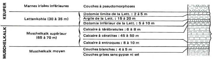 Log lithostratigraphique schématique des systèmes aquifères du Muschelkalk et de la Lettenkohle (extrait de Maïaux, in BRGM,1980)
©BRGM
Log lithostratigraphique schématique des systèmes aquifères du Muschelkalk et de la Lettenkohle (extrait de Maïaux, in BRGM,1980)