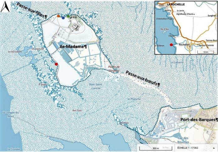 Carte de localisation du site "Ile Madame" (commune de Port-des-Barques)