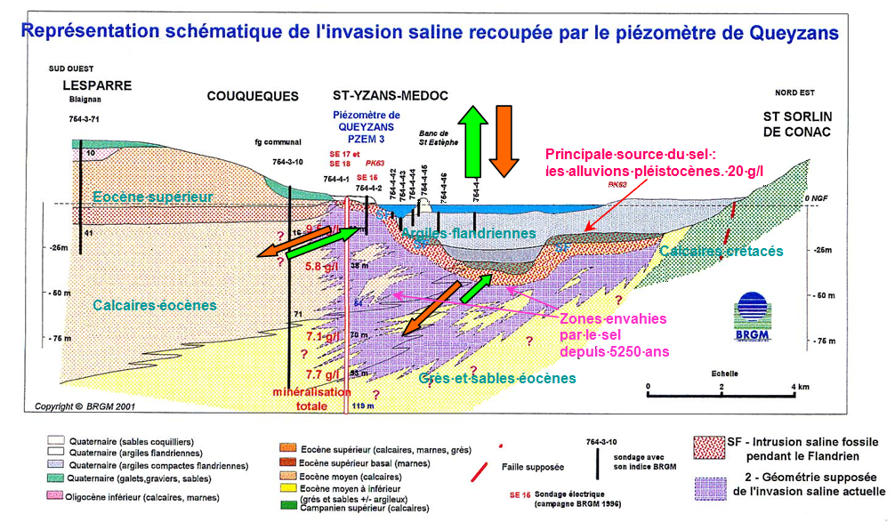 Schéma expliquant l’invasion saline dans les nappes de l’Eocène, en relation avec le niveau de la marée, en bordure du Médoc, au niveau de Saint-Yzans