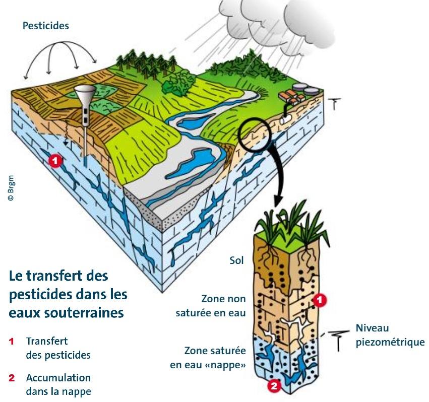 pesticides_eauxsout
