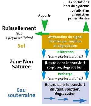 transport phyto