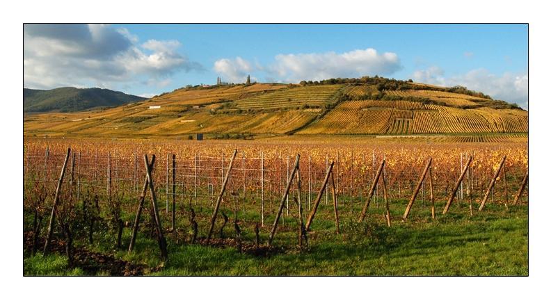 Zone de bordure