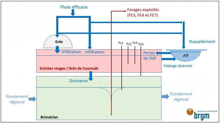 Schéma conceptuel du fonctionnement du site étudié