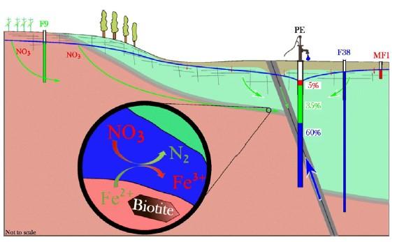 Schéma conceptuel de mélange et réactivité sur le site de Ploemeur (56) (Roques et al., 2018)