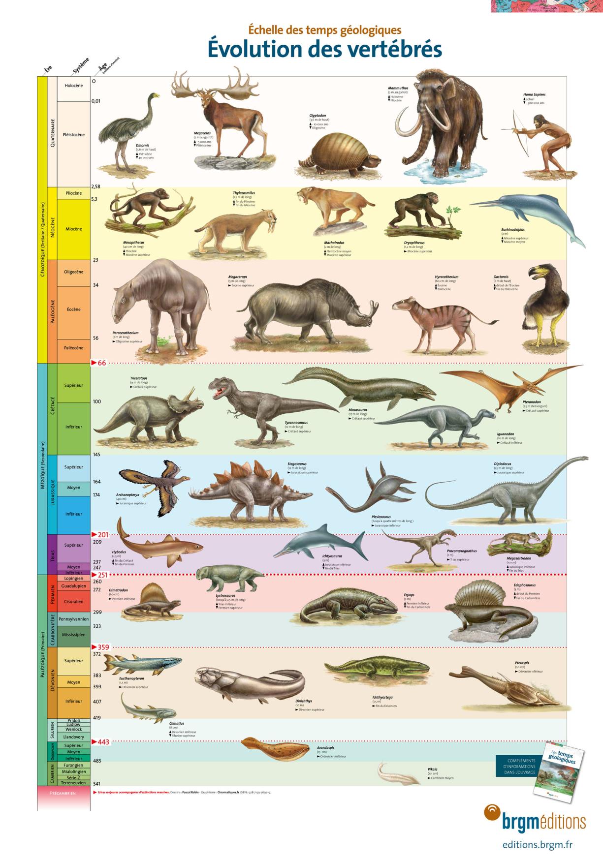 Echelle des temps géologiques - Evolution des vertébrés