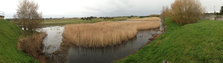 Dispositif d'infiltration dans l'aquifère dunaire - Agon-Coutainville (50)