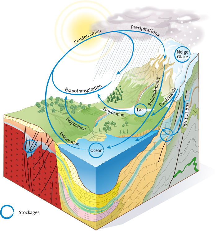 Cycle de l’eau terrestre