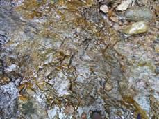 Saut de la Bourrique