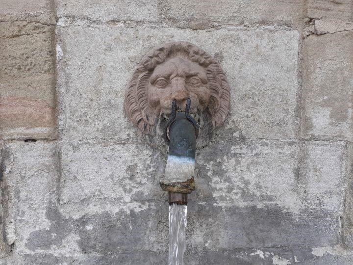 Fontaine de Viviers-le-Gras (88) 