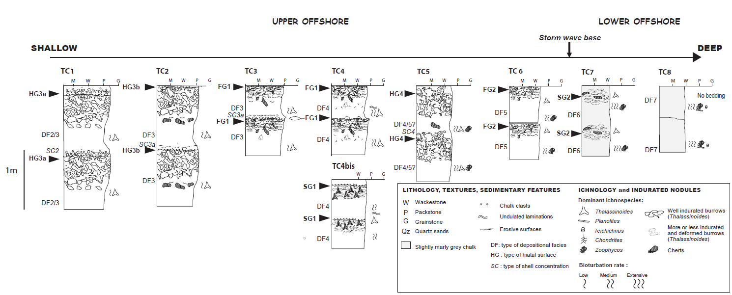 Figure 3 : Différents types de cycles de dépôt-érosion du Turonien moyen au Coniacien moyen (Lasseur, 2007)
