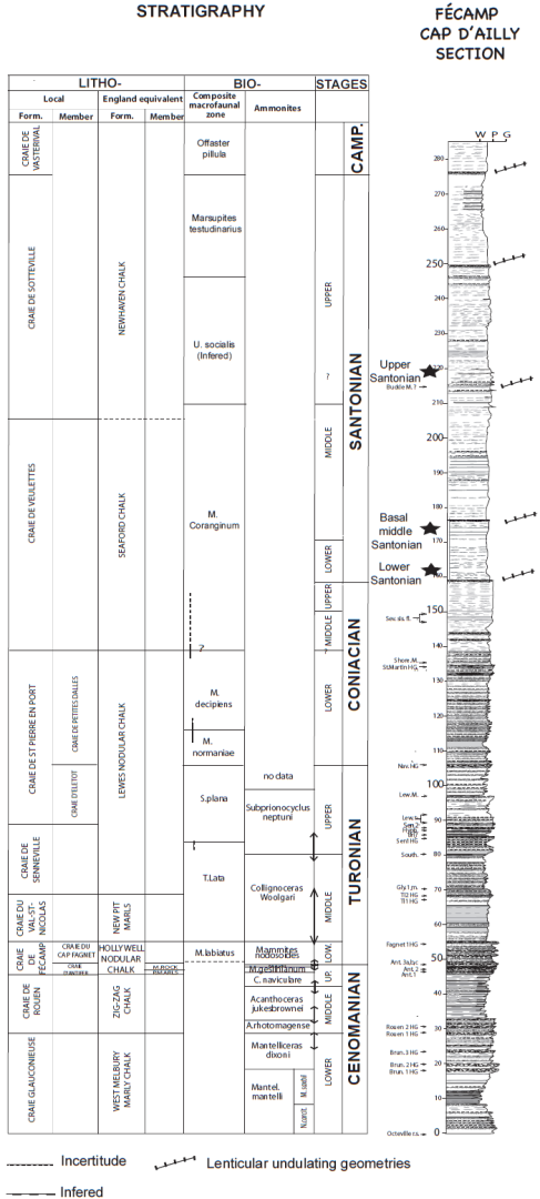 Figure 4 : Coupe regroupant les logs St Jouin- Tilleul et Fécamp-Cap d’Ailly (Lasseur, 2007)