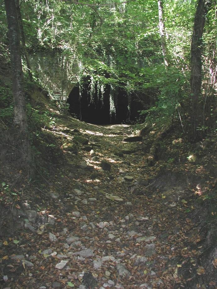 Système karstique de la DORMA (55) Chenal en aval de la source du Rupt-du-Puits (02264X0021/HY) à ROBERT-ESPAGNE (55)