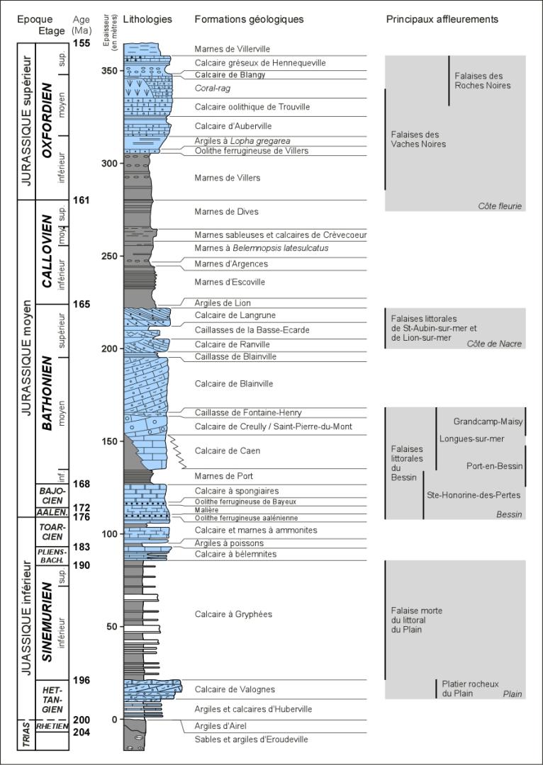 Colonne lithostratigraphique des formations jurassiques de Basse-Normandie (d’après Dugué et al., 1998 modifié)