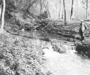 Source du Dragon : Cette source fait partie du groupe qui a été capté dans la Voulzie près de Provins. Etat de la source pendant la période d’observation avant captage dans les Calcaires de Champigny. 