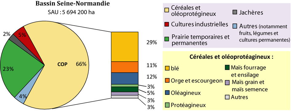 Les cultures du bassin Seine-Normandie (AESN, Etat des Lieux 2013, RA 2010)
