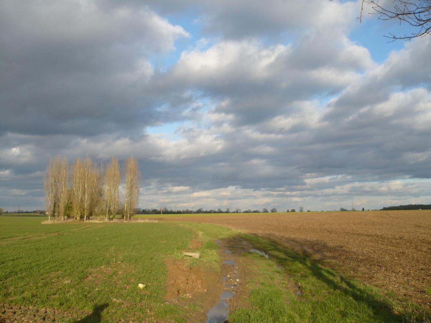 Regard indiquant la présence d’un collecteur de drainage enterré indiqué comme « écoulement busé » dans la base 