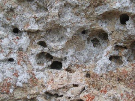Roche calcaire présentant des micro-cavités