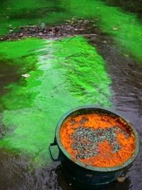Traçage à la fluorescéine