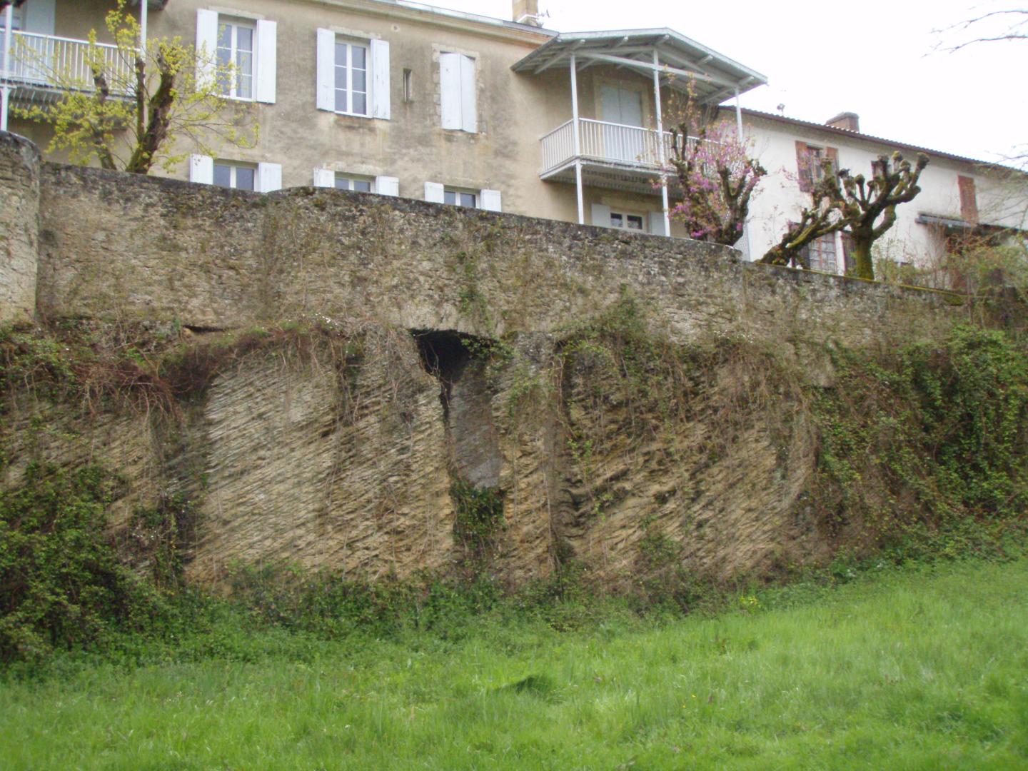 Figure 1 - Affleurement de grès calcaires du Serravallien dans la vallée de la Leyre