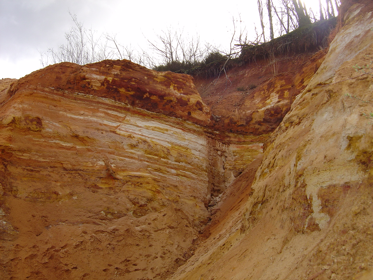 Figure 1 - Affleurement de sables kaoliniques orangés, à lits d'argile, dans la carrière abandonnée de Chantarel (Platel JP., 2013)