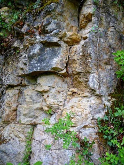 Figure 1 - Affleurement fracturé dans la petite carrière abandonnée de Regrunel (Platel JP., 2013)