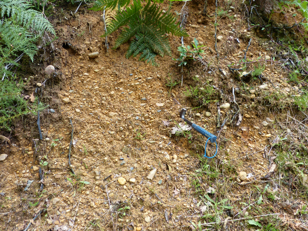 Figure 1 - Alluvions à galets polygéniques de la haute terrasse (© Platel JP., 2015)