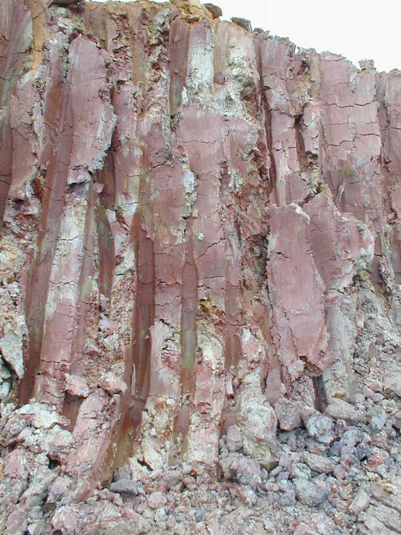 Figure 1 - Argiles bariolées dans le diapir de Bastennes-Gaujacq