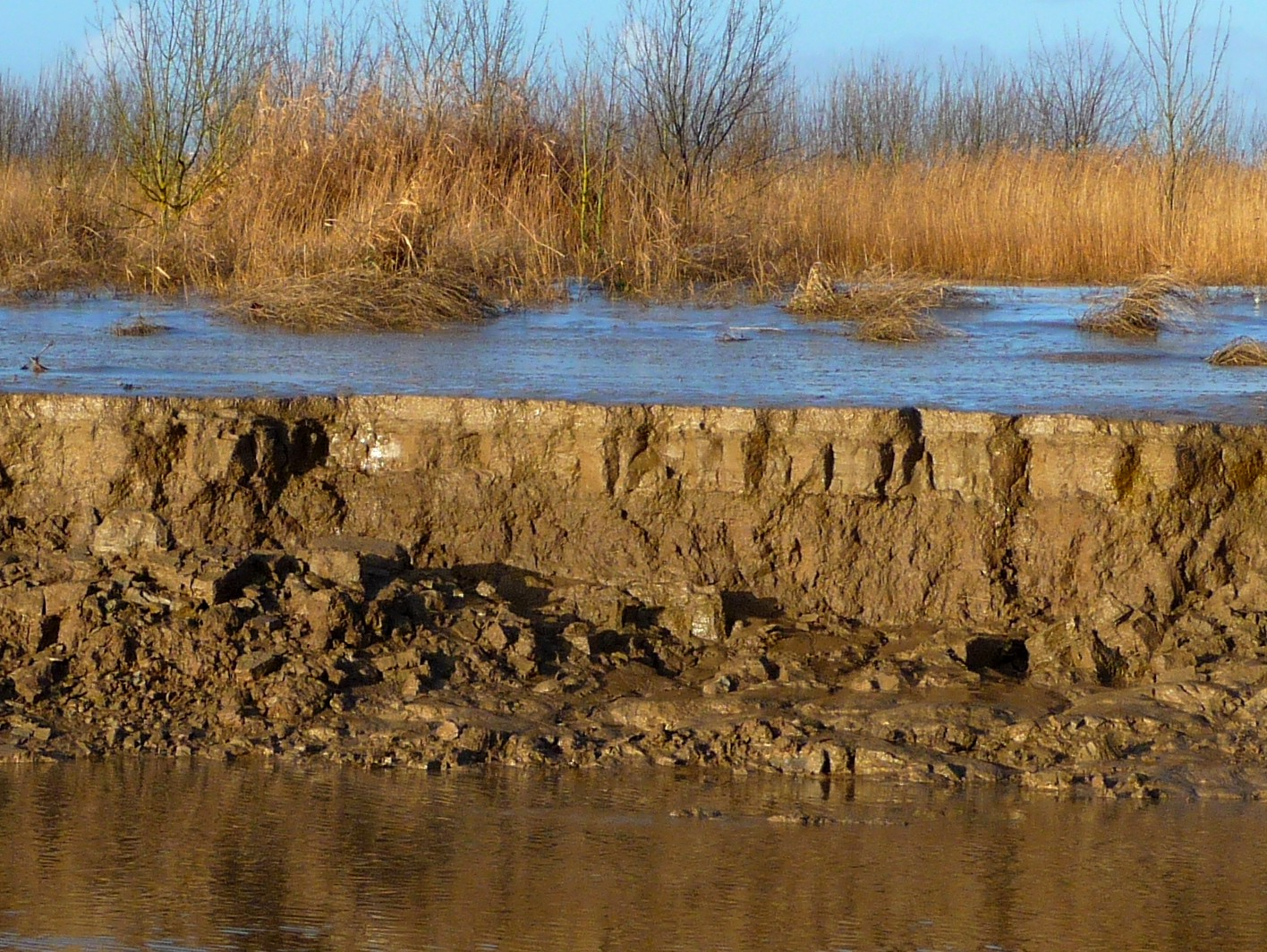 Figure 1 - Argiles brunes de l'Holocène et vases récentes, dans la réculée d'érosion, entre les deux parties, au nord de l'île (© Platel JP., 2015)