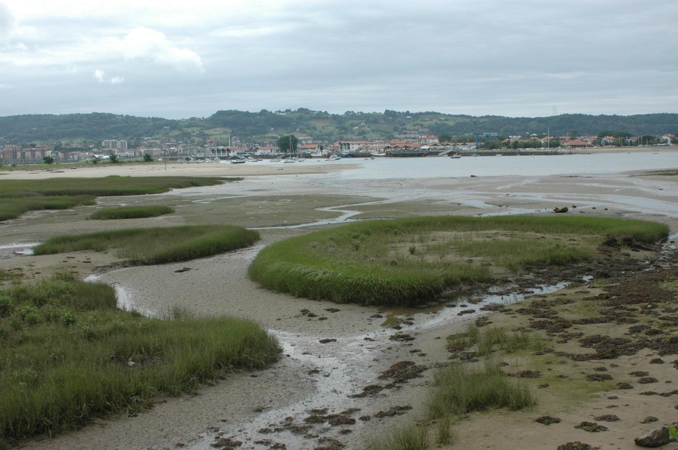 Figure 1 - Baie de Chingoudy (Hendaye)