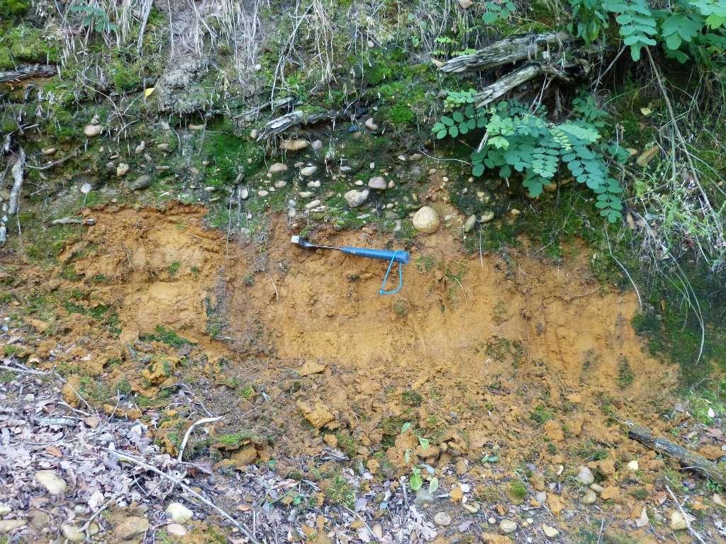 Figure 1 - Contact entre les Sables fauves et la base des alluvions de haut niveau (© Platel JP., 2015)