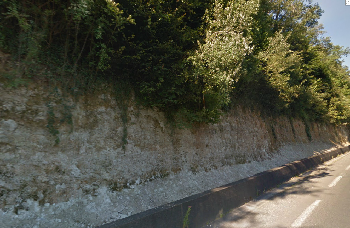 Figure 1 - Les calcaires massifs de la Formation de Neuvic, dans la tranchée de la RD 6089