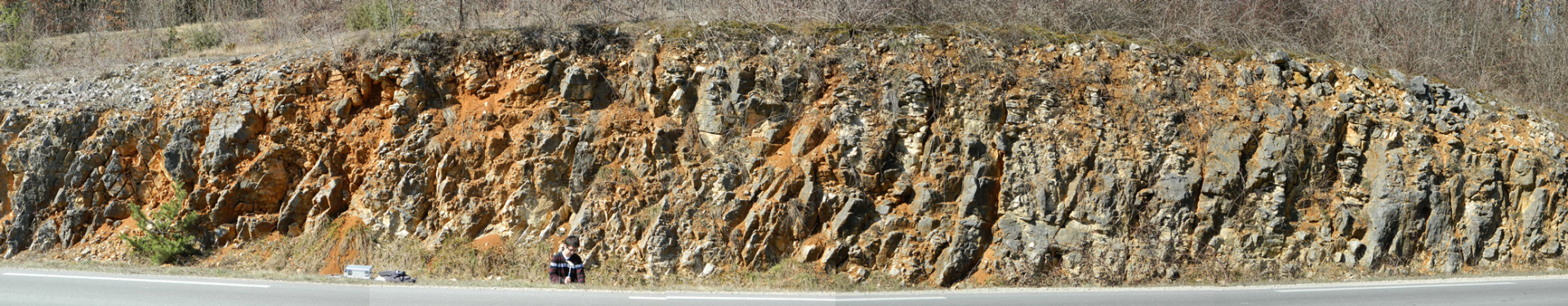 Figure 1 - Panorama des calcaires dolomitiques