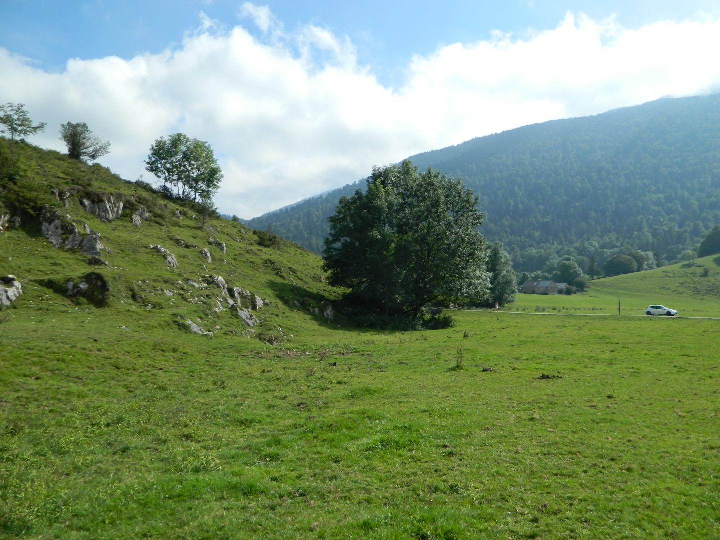 Figure 1 - Perte de l'abreuvoir, au pied des arbres (Gutierrez T., 2013)