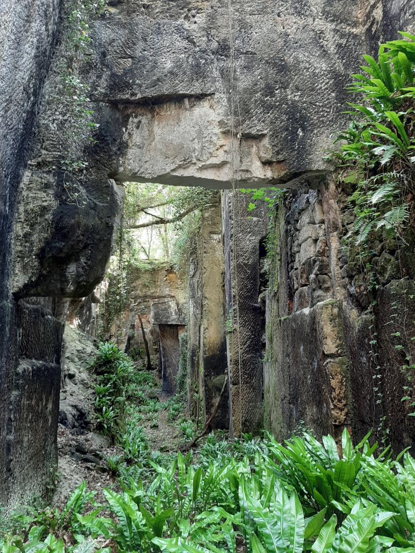 Figure 1 - Photo des gorges de la carrière de Crazannes visibles sur le parcours guidé (©BRGM,2023)