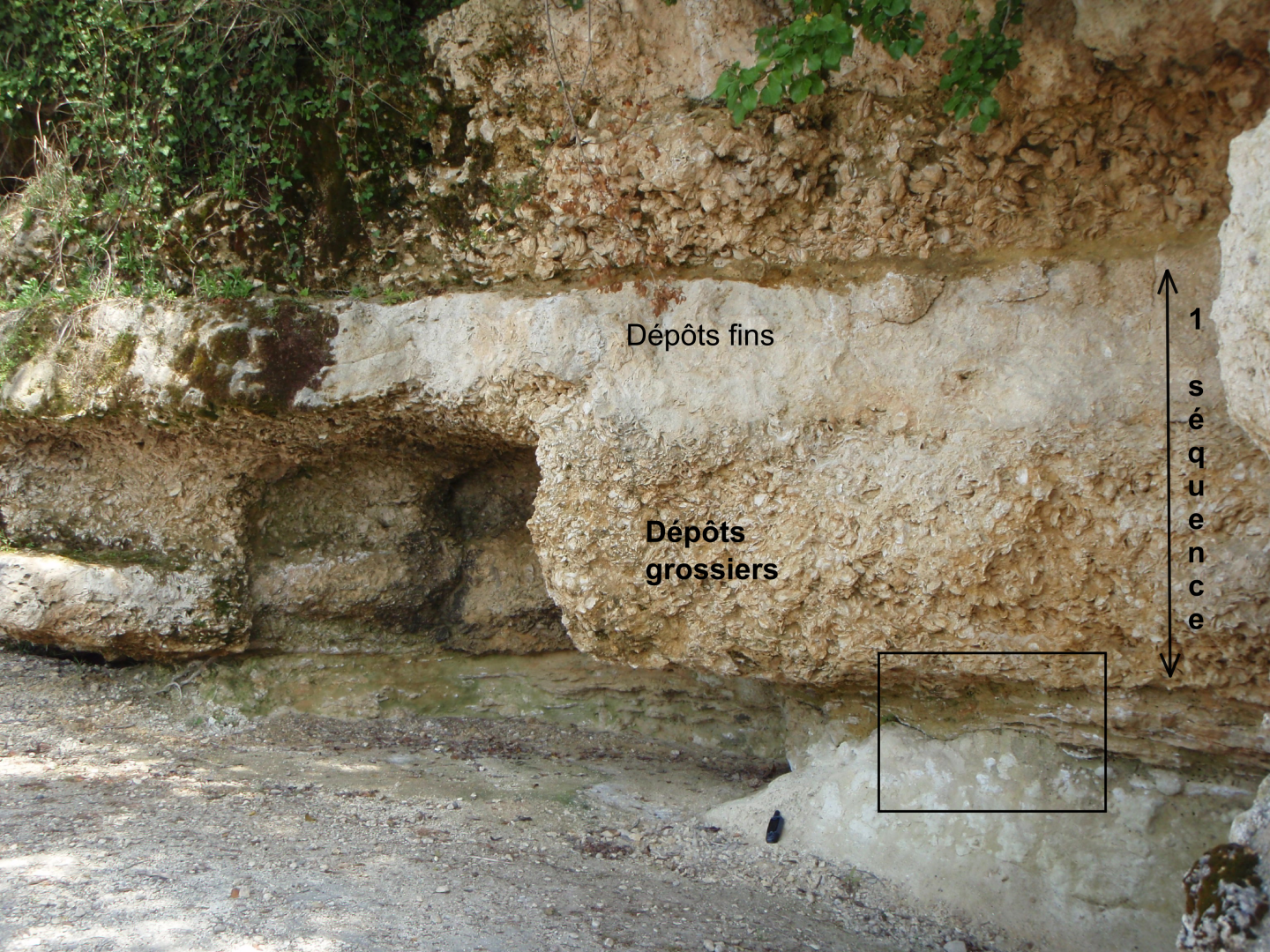Figure 1 - Séquences de dépôts granoclassées (© Galey A., BRGM, 2012)