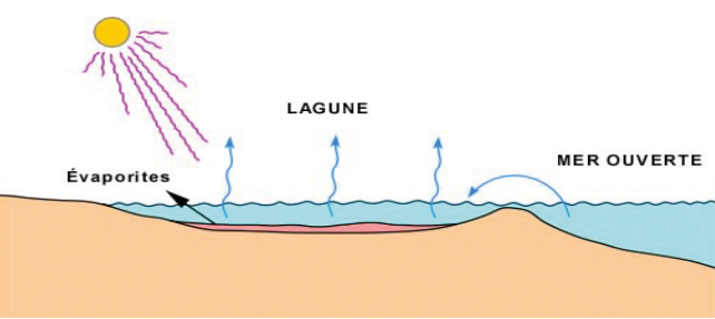 Figure 1 - Schéma expliquant la formation du gypse (©INERIS)