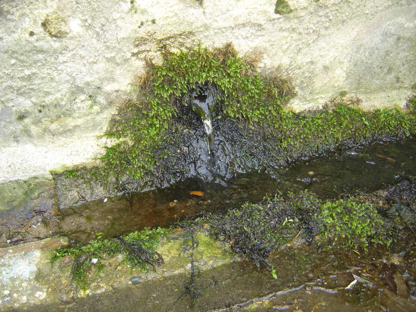 Figure 1 - Source du lavoir de Xaintrailles (Platel JP., 2014)