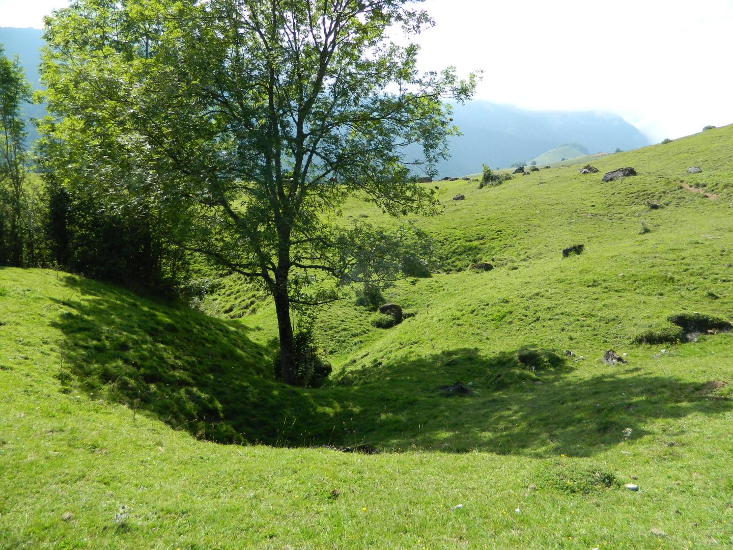 Figure 2 - Alignement de dolines sur le plateau de Benou (Gutierrez T., 2013)