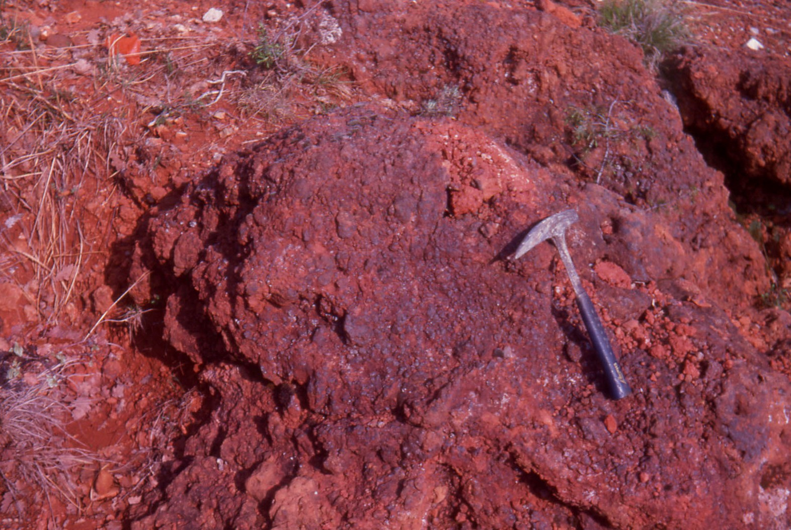 Figure 2 - Cuirasse ferralitique de la paléoaltérite de l'Eocène moyen (Formation de Rouffignac) entre la Roche et Pesseychut (Platel JP., 2013)