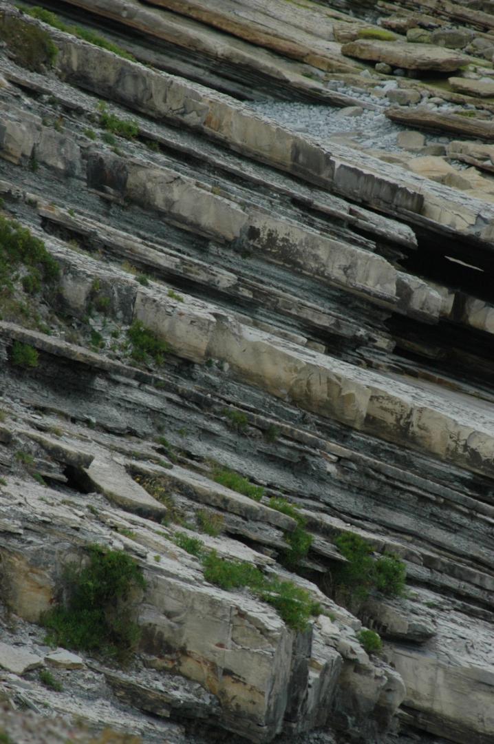 Figure 2 - Détail du flysch crétacé - Saint-Jean-de-Luz