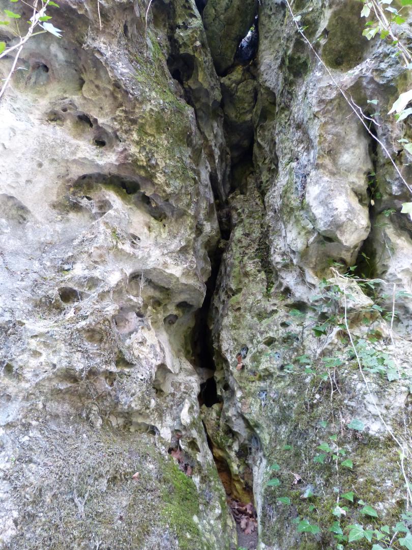 Figure 2 - Fracture dans l'axe est-sud-est, ouest-nord-ouest de l'anticlinal, élargie par la karstification (Platel JP., 2014)