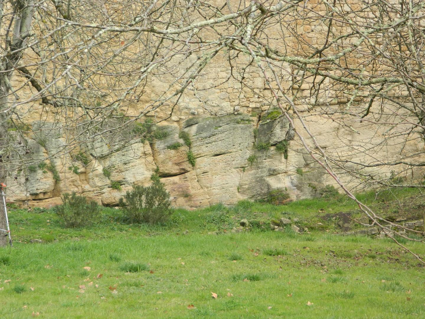 Figure 2 - Litage oblique dans le calcaire à Astéries à Rions (© Galey A., BRGM, 2012)