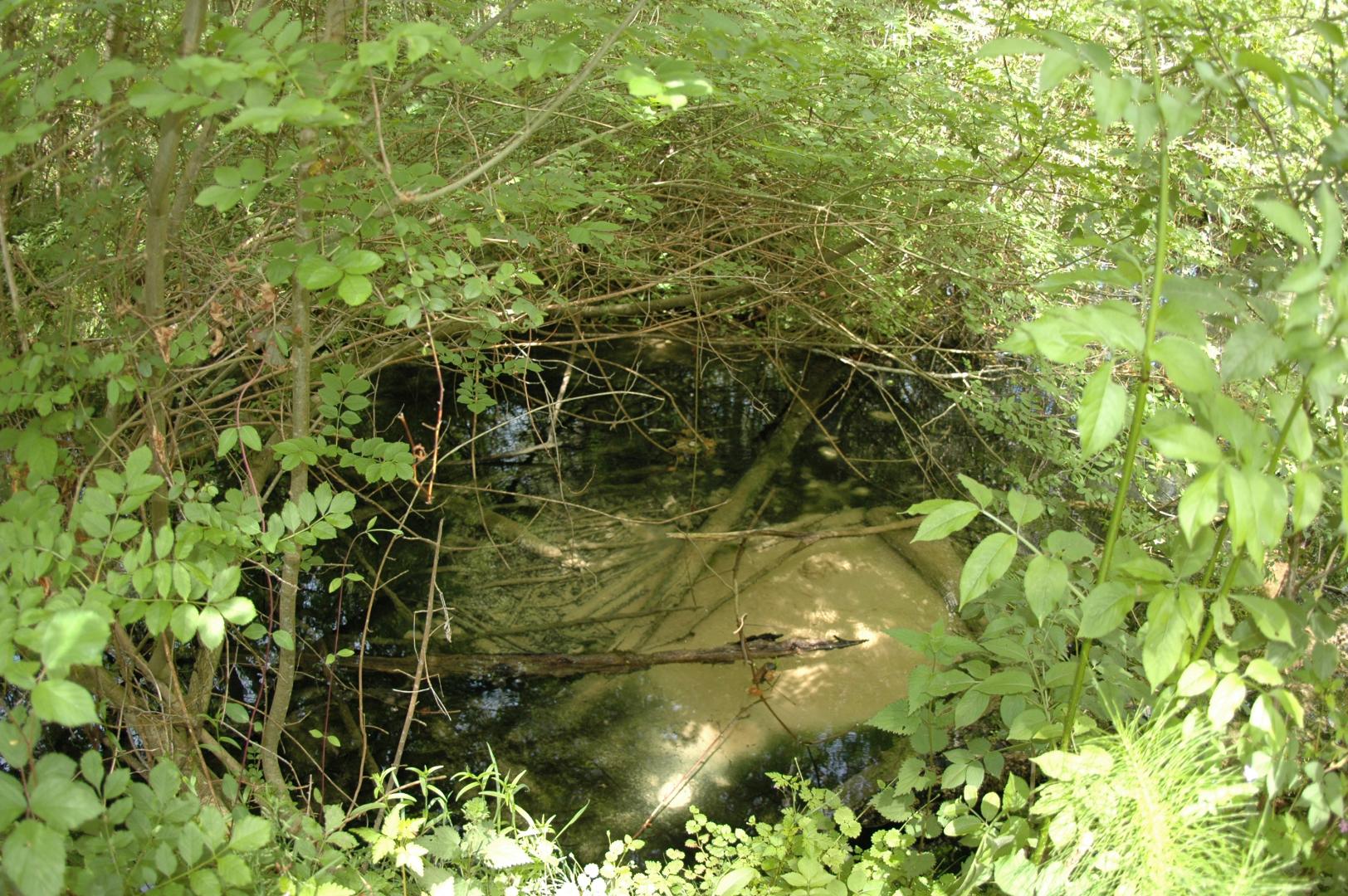 Figure 3 - Arrivées d'eau de la source des Eschourdes