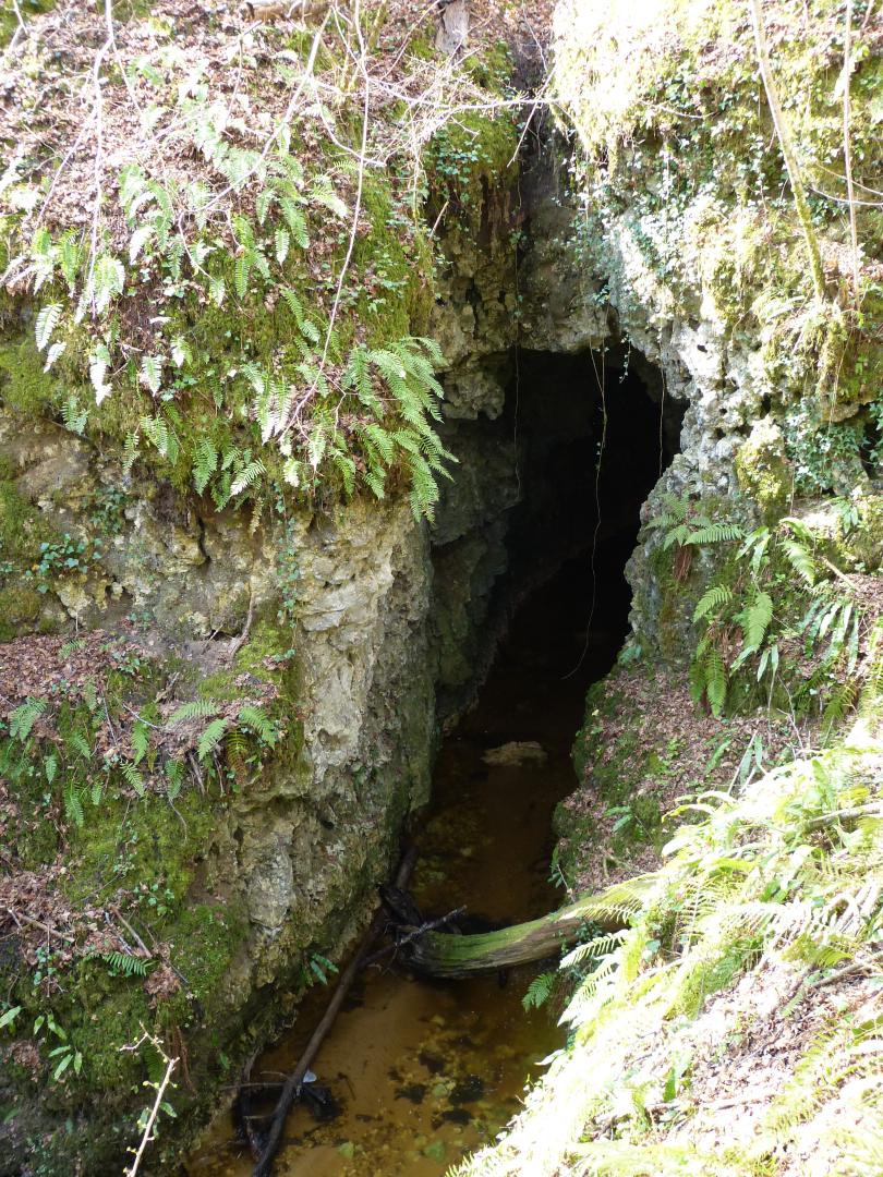 Figure 3 - Entrée d'une galerie karstique sur faille ouverte, d'où s'écoule le ruisseau du Cros (Platel JP., 2014)