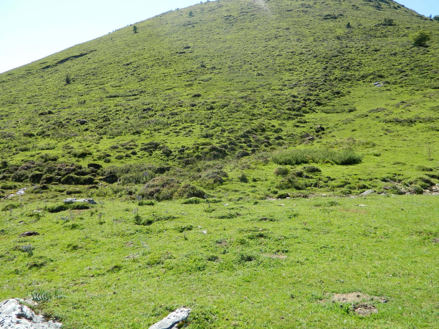 Figure 3 - Source au pied du Turon de la Técouère (Gutierrez T., 2013)