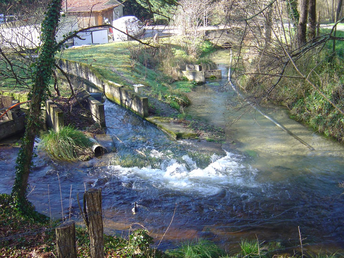 Figure 3 - Vue de l'Avance au niveau du pont de la Forge, à l'aval de la pisciculture, alimenté par les résurgences de Neuffonds (Platel JP., 2014)