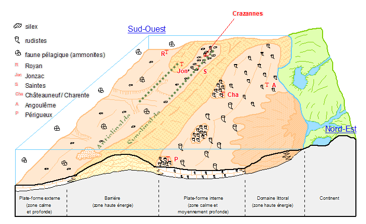 Figure 4 - Bloc diagramme expliquant le paléoenvironnement au moment du dépôt de la pierre de Crazannes (d'après Platel, modifié)