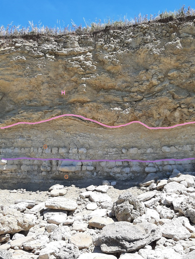 Figure 5 - Photo de l'affleurement de la Pointe de la Belette (© BRGM,2023)