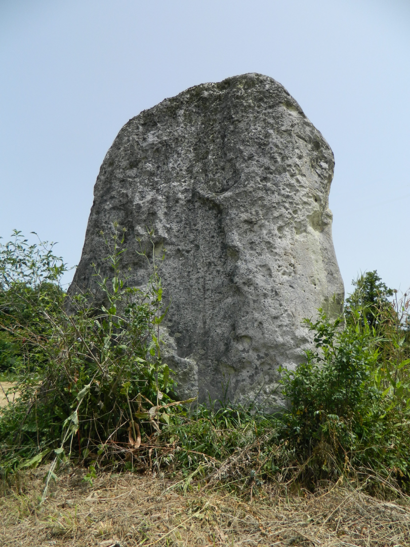 Figure 6 - Menhir de Peyre Longue (Landes)